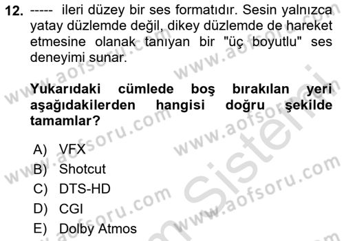 Posthümanist Tasarım Yaklaşımları Dersi 2024 - 2025 Yılı (Vize) Ara Sınav Soruları 12. Soru