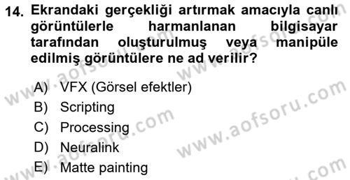 Posthümanist Tasarım Yaklaşımları Dersi 2024 - 2025 Yılı (Vize) Ara Sınav Soruları 14. Soru