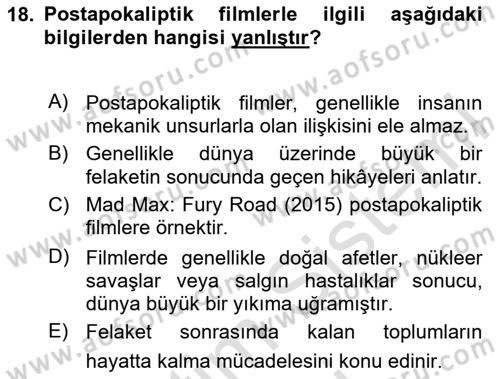Posthümanist Tasarım Yaklaşımları Dersi 2024 - 2025 Yılı (Vize) Ara Sınav Soruları 18. Soru