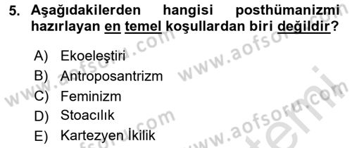 Posthümanist Tasarım Yaklaşımları Dersi 2024 - 2025 Yılı (Vize) Ara Sınav Soruları 5. Soru
