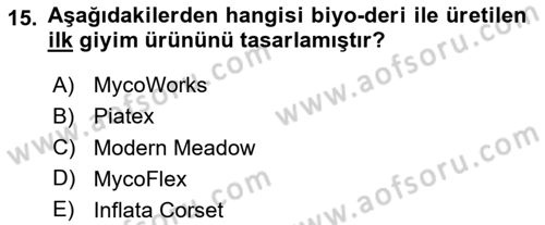Posthümanist Tasarım Yaklaşımları Dersi 2024 - 2025 Yılı (Final) Dönem Sonu Sınav Soruları 15. Soru