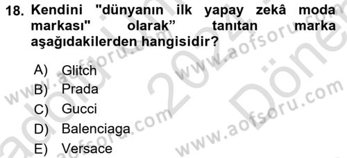 Posthümanist Tasarım Yaklaşımları Dersi 2024 - 2025 Yılı (Final) Dönem Sonu Sınav Soruları 18. Soru