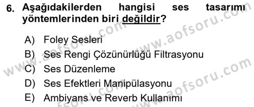 Posthümanist Tasarım Yaklaşımları Dersi 2024 - 2025 Yılı (Final) Dönem Sonu Sınav Soruları 6. Soru