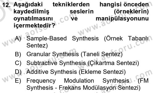 Posthümanist Tasarım Yaklaşımları Dersi 2024 - 2025 Yılı Yaz Okulu Sınav Soruları 12. Soru