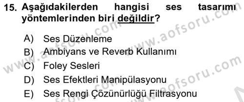 Posthümanist Tasarım Yaklaşımları Dersi 2024 - 2025 Yılı Yaz Okulu Sınav Soruları 15. Soru