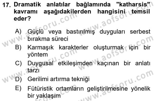 Posthümanist Tasarım Yaklaşımları Dersi 2024 - 2025 Yılı Yaz Okulu Sınav Soruları 17. Soru
