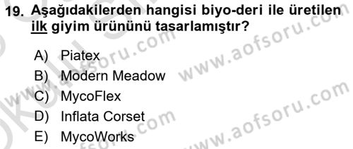 Posthümanist Tasarım Yaklaşımları Dersi 2024 - 2025 Yılı Yaz Okulu Sınav Soruları 19. Soru