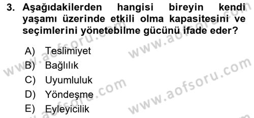 Posthümanist Tasarım Yaklaşımları Dersi 2024 - 2025 Yılı Yaz Okulu Sınav Soruları 3. Soru