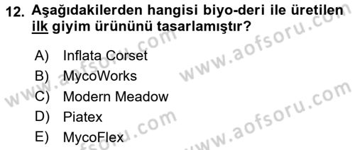 Posthümanist Tasarım Yaklaşımları Dersi 2025 - 2026 Yılı (Final) Dönem Sonu Sınav Soruları 12. Soru
