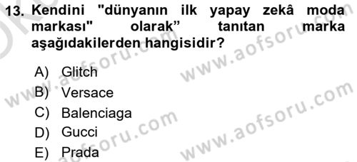 Posthümanist Tasarım Yaklaşımları Dersi 2025 - 2026 Yılı Yaz Okulu Sınav Soruları 13. Soru