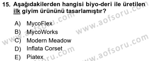 Posthümanist Tasarım Yaklaşımları Dersi 2025 - 2026 Yılı Yaz Okulu Sınav Soruları 15. Soru