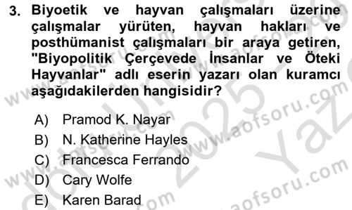 Posthümanist Tasarım Yaklaşımları Dersi 2025 - 2026 Yılı Yaz Okulu Sınav Soruları 3. Soru
