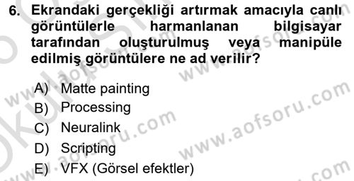 Posthümanist Tasarım Yaklaşımları Dersi 2025 - 2026 Yılı Yaz Okulu Sınav Soruları 6. Soru