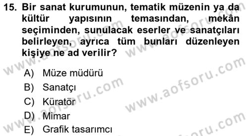 Tasarım Süreçleri Ve Yönetimi Dersi 2024 - 2025 Yılı (Vize) Ara Sınav Soruları 15. Soru