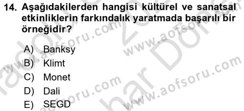 Tasarım Süreçleri Ve Yönetimi Dersi 2024 - 2025 Yılı (Final) Dönem Sonu Sınav Soruları 14. Soru