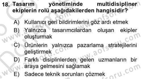 Tasarım Süreçleri Ve Yönetimi Dersi 2024 - 2025 Yılı (Final) Dönem Sonu Sınav Soruları 18. Soru