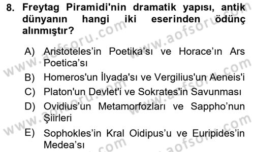 Tasarımda Sıralı Anlatım ve Öykülendirme Dersi 2025 - 2026 Yılı (Vize) Ara Sınav Soruları 8. Soru