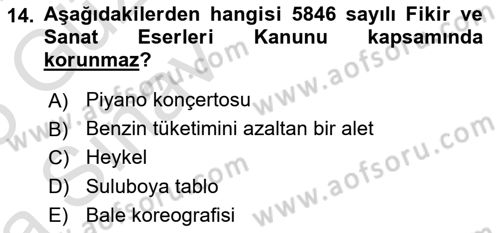 Tasarım Etiği ve Hukuku Dersi 2024 - 2025 Yılı (Vize) Ara Sınav Soruları 14. Soru