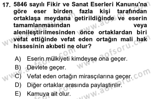 Tasarım Etiği ve Hukuku Dersi 2024 - 2025 Yılı (Final) Dönem Sonu Sınav Soruları 17. Soru