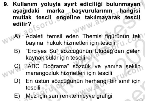 Tasarım Etiği ve Hukuku Dersi 2024 - 2025 Yılı (Final) Dönem Sonu Sınav Soruları 9. Soru