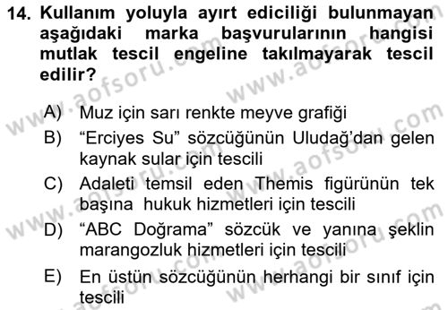 Tasarım Etiği ve Hukuku Dersi 2024 - 2025 Yılı Yaz Okulu Sınav Soruları 14. Soru