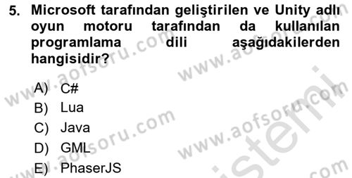 Dijital Oyun Tasarımı Dersi 2024 - 2025 Yılı Yaz Okulu Sınav Soruları 5. Soru