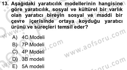 Reklam Tasarım Ve Uygulamaları Dersi 2024 - 2025 Yılı (Vize) Ara Sınav Soruları 13. Soru