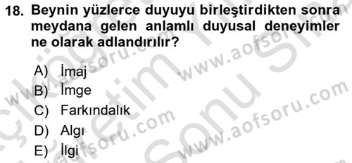 Reklam Tasarım Ve Uygulamaları Dersi 2024 - 2025 Yılı (Final) Dönem Sonu Sınav Soruları 18. Soru