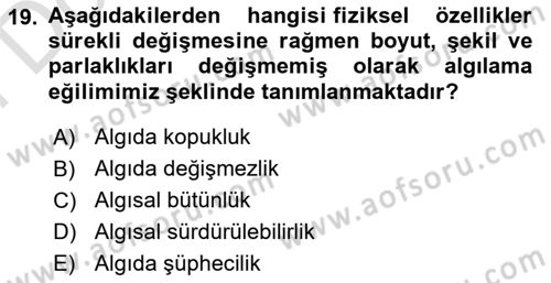 Reklam Tasarım Ve Uygulamaları Dersi 2024 - 2025 Yılı (Final) Dönem Sonu Sınav Soruları 19. Soru