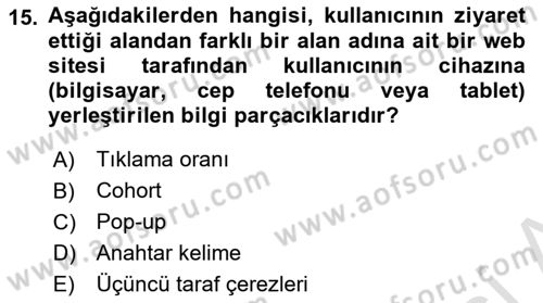 Reklam Tasarım Ve Uygulamaları Dersi 2024 - 2025 Yılı Yaz Okulu Sınav Soruları 15. Soru