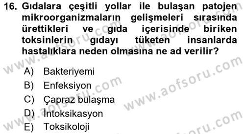 Gıda Mevzuatı ve Kalite Yönetimi Dersi 2017 - 2018 Yılı 3 Ders Sınav Soruları 16. Soru