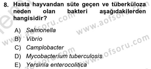 Gıda Mevzuatı ve Kalite Yönetimi Dersi 2025 - 2026 Yılı (Vize) Ara Sınav Soruları 8. Soru