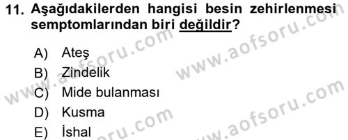 Besin Güvenliği ve Hijyen Dersi 2016 - 2017 Yılı (Vize) Ara Sınav Soruları 11. Soru