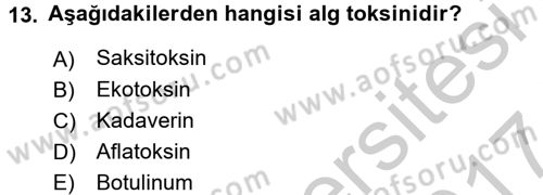 Besin Güvenliği ve Hijyen Dersi 2016 - 2017 Yılı (Vize) Ara Sınav Soruları 13. Soru