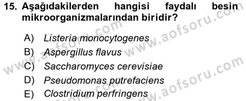 Besin Güvenliği ve Hijyen Dersi 2016 - 2017 Yılı (Vize) Ara Sınav Soruları 15. Soru