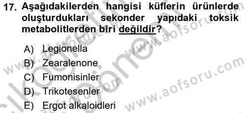 Besin Güvenliği ve Hijyen Dersi 2016 - 2017 Yılı (Vize) Ara Sınav Soruları 17. Soru