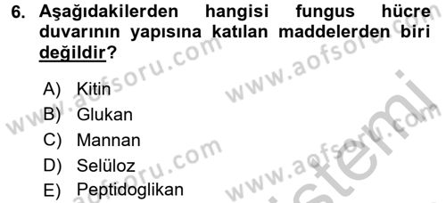 Besin Güvenliği ve Hijyen Dersi 2016 - 2017 Yılı (Vize) Ara Sınav Soruları 6. Soru