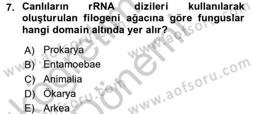 Besin Güvenliği ve Hijyen Dersi 2016 - 2017 Yılı (Vize) Ara Sınav Soruları 7. Soru