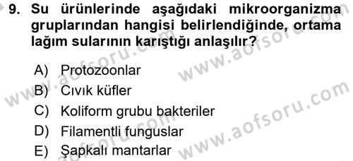 Besin Güvenliği ve Hijyen Dersi 2016 - 2017 Yılı (Vize) Ara Sınav Soruları 9. Soru