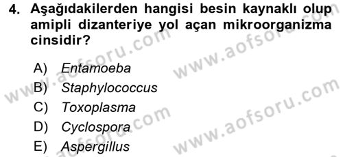 Besin Güvenliği ve Hijyen Dersi 2016 - 2017 Yılı (Final) Dönem Sonu Sınav Soruları 4. Soru