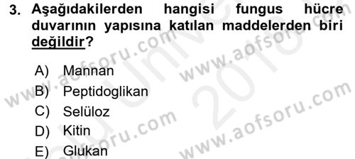 Besin Güvenliği ve Hijyen Dersi 2017 - 2018 Yılı 3 Ders Sınav Soruları 3. Soru