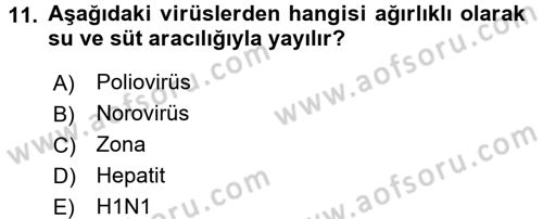 Besin Güvenliği ve Hijyen Dersi 2017 - 2018 Yılı (Vize) Ara Sınav Soruları 11. Soru