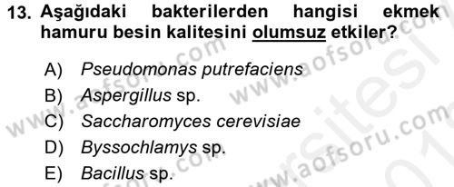Besin Güvenliği ve Hijyen Dersi 2017 - 2018 Yılı (Vize) Ara Sınav Soruları 13. Soru