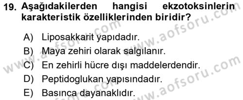 Besin Güvenliği ve Hijyen Dersi 2017 - 2018 Yılı (Vize) Ara Sınav Soruları 19. Soru