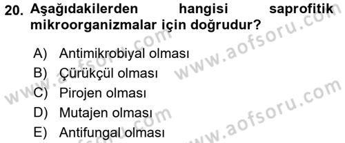 Besin Güvenliği ve Hijyen Dersi 2017 - 2018 Yılı (Vize) Ara Sınav Soruları 20. Soru