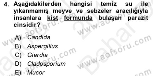 Besin Güvenliği ve Hijyen Dersi 2017 - 2018 Yılı (Vize) Ara Sınav Soruları 4. Soru