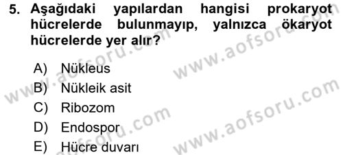 Besin Güvenliği ve Hijyen Dersi 2017 - 2018 Yılı (Vize) Ara Sınav Soruları 5. Soru
