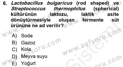 Besin Güvenliği ve Hijyen Dersi 2017 - 2018 Yılı (Vize) Ara Sınav Soruları 6. Soru
