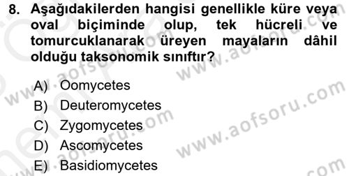 Besin Güvenliği ve Hijyen Dersi 2017 - 2018 Yılı (Vize) Ara Sınav Soruları 8. Soru