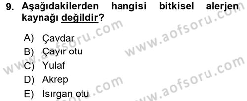 Besin Güvenliği ve Hijyen Dersi 2017 - 2018 Yılı (Vize) Ara Sınav Soruları 9. Soru